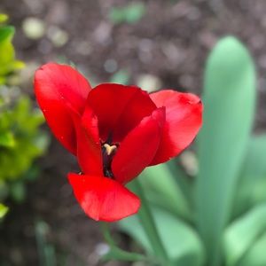 Meet your Posher, Bekah